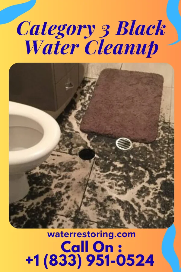 Category 3 Black Water Cleanup in Bushnell, FL