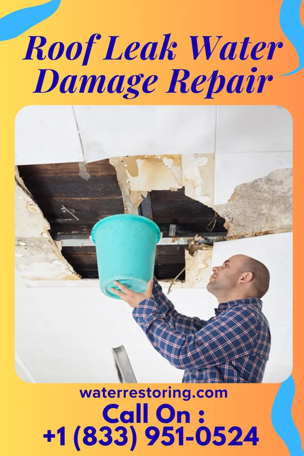 Roof Leak Water Damage Repair in Bushnell, FL