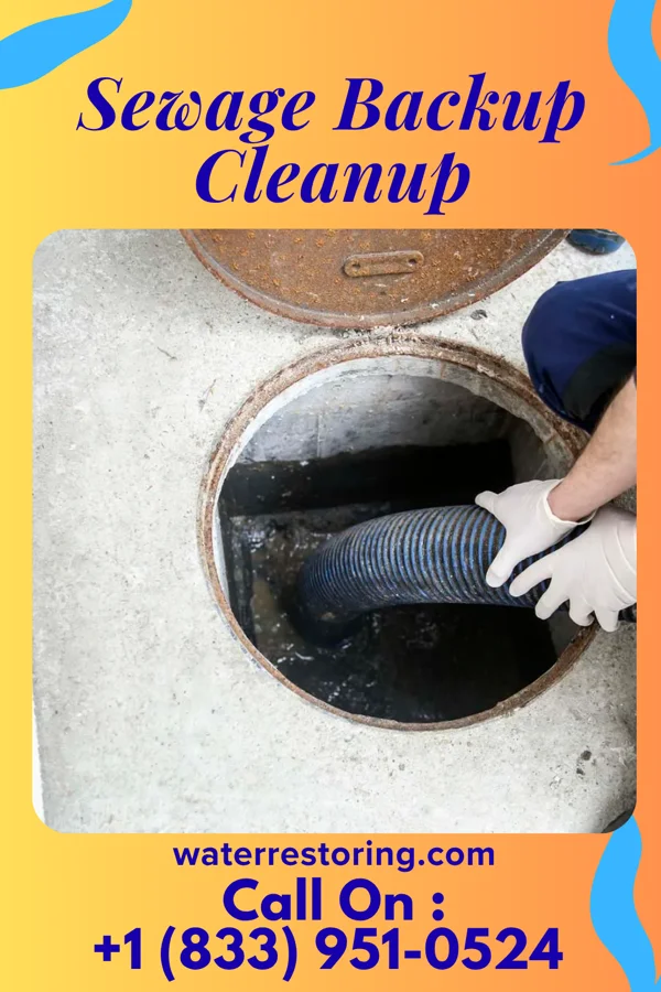Sewage Backup Cleanup in Bushnell, FL
